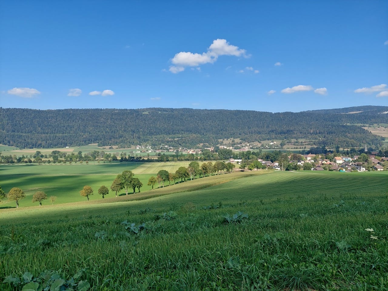 Les gorges de la Poëta Raisse