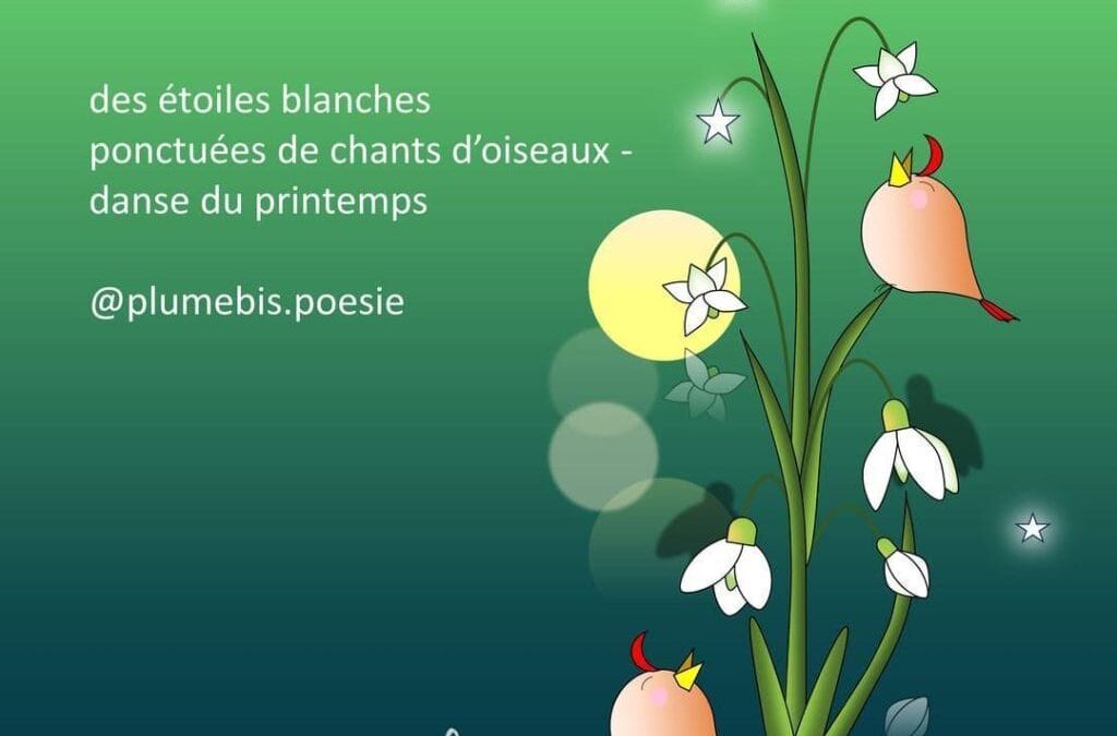 étoiles blanches