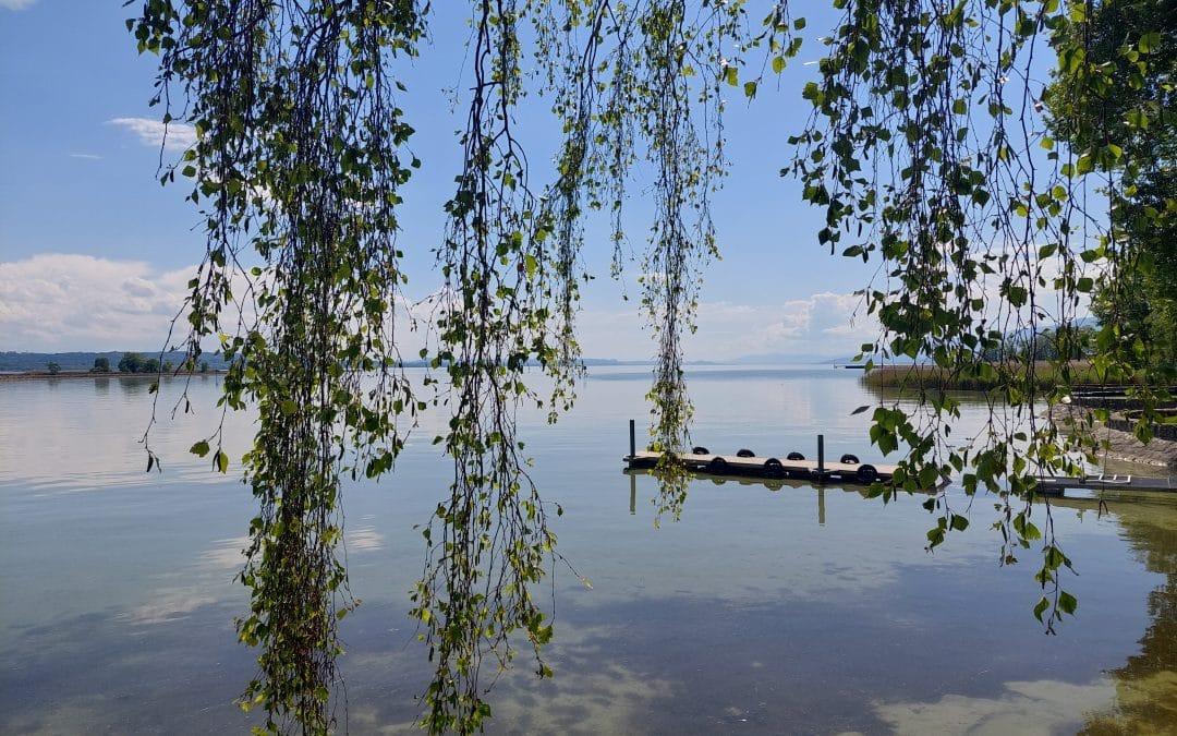 Au bord d&rsquo;un lac