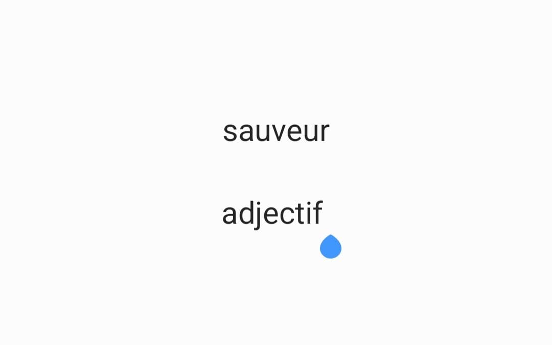 Sauveur, adjectif