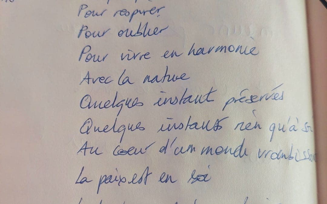 Poésie manuscrite (abonnement)
