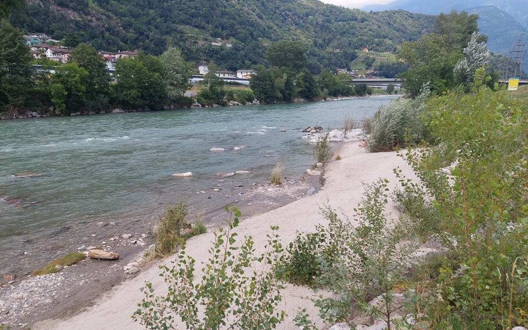 sur le rivage
