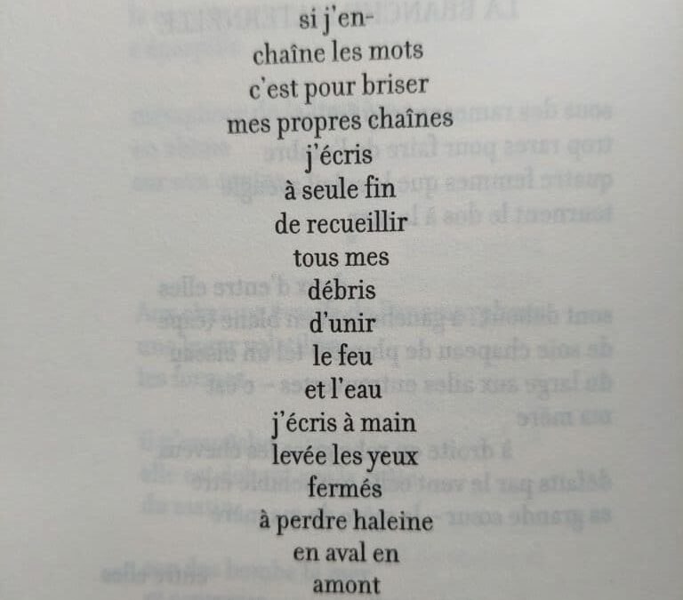 si j&rsquo;en-chaîne les mots, Vahé Godel